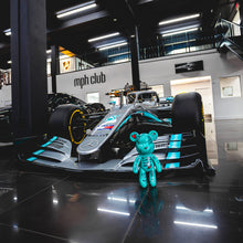 Load image into Gallery viewer, Soco Freire – The Little One (Tiffany Bear)